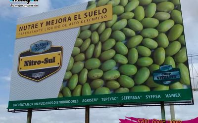 196008179_4706898732660127_5676817392096122712_n